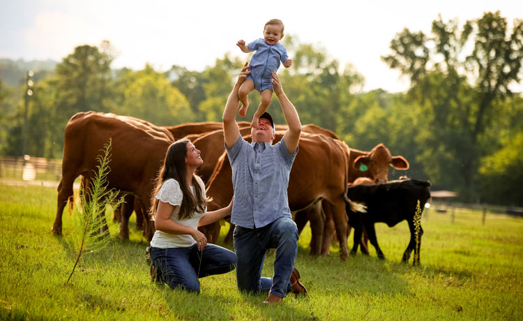 A husband and wife pose, holding their son in front of a herd of red cattle.